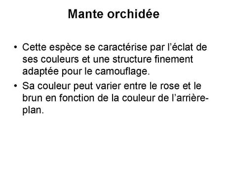 Divers - animaux aux couleurs improbables - 1