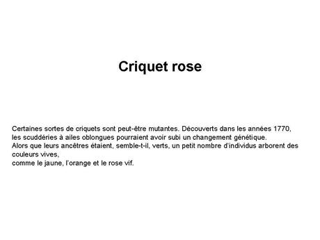 Divers - animaux aux couleurs improbables - 1