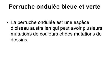 Divers - animaux aux couleurs improbables - 1