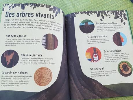 La Terre en vert - La Terre en bleu - Les couleurs du monde de Moira Butterfield et Jonathan Woodward ♥ ♥ ♥