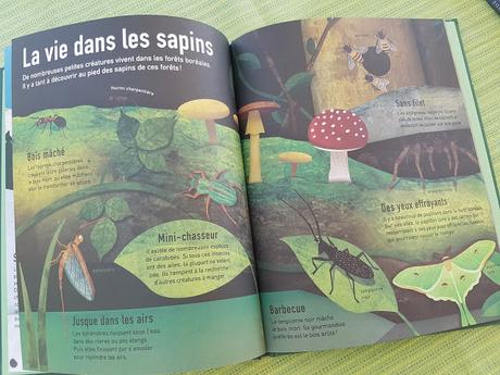 La Terre en vert - La Terre en bleu - Les couleurs du monde de Moira Butterfield et Jonathan Woodward ♥ ♥ ♥