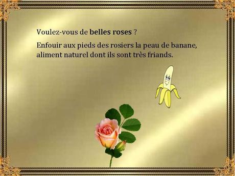 Divers - Les bienfaits de la banane - 2