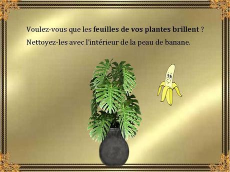 Divers - Les bienfaits de la banane - 2