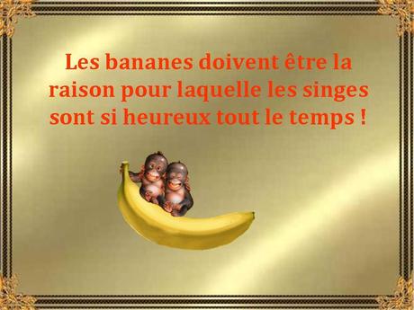 Divers - Les bienfaits de la banane - 2