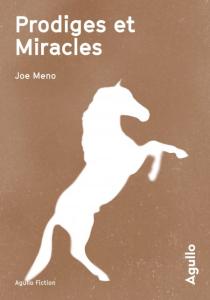 Prodiges et miracles de Joe Meno
