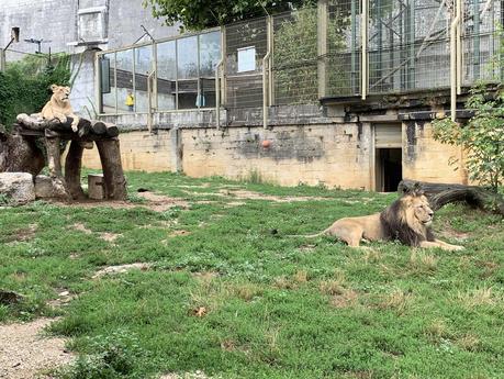 Carte postale de la citadelle de Besançon #cartepostale #besancon