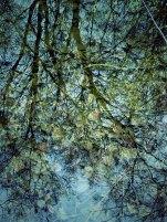 Elis Podnar – Séparation