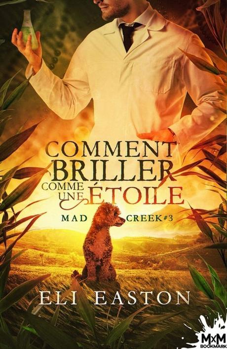 Comment briller comme une étoile d’Eli Easton