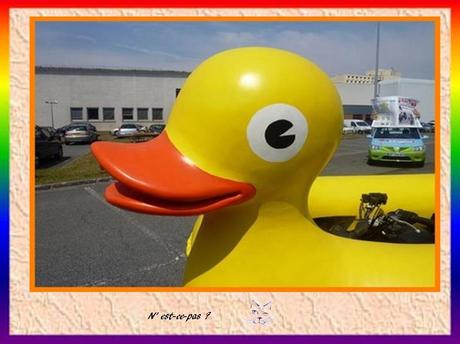 Divers - La Caravane du Tour de France 2