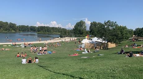 Craft beer – Woodstower 2019, pour terminer l'été en beauté

 – Bière