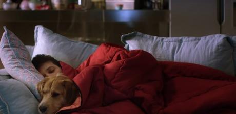 La trilogie des prénoms : II - Yves