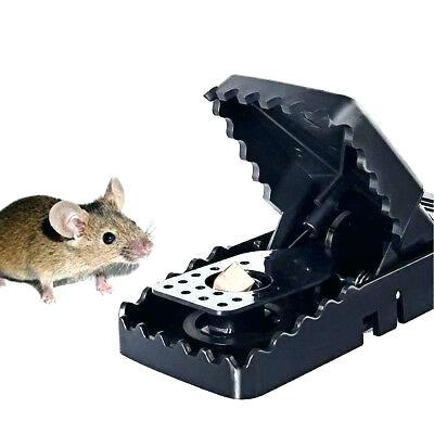 amazon mouse trap amazon mouse trap game