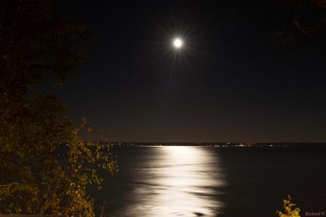 Branleur à la Bibli