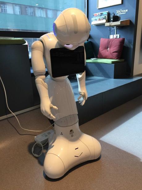 Visite chez les Vikings