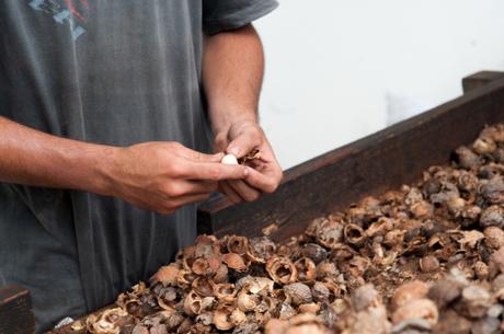 Intuitu Materiae : bien plus qu’une huile de beauté, un réconfort pour chacun.e