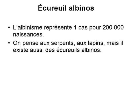 Divers - animaux aux couleurs improbables - 2