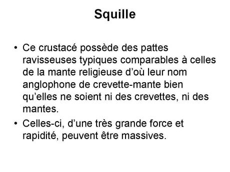 Divers - animaux aux couleurs improbables - 2