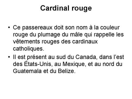 Divers - animaux aux couleurs improbables - 2