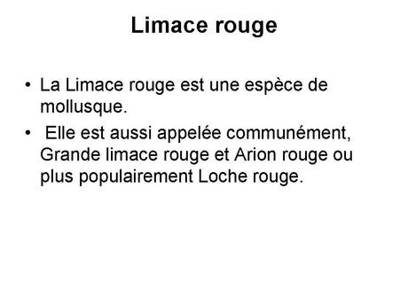 Divers - animaux aux couleurs improbables - 2