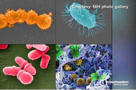 Notre tractus intestinal regorge de microbes, dont beaucoup sont bénéfiques et contribuent à notre santé globale. Cependant, dans certaines conditions, le fonctionnement normal de ces communautés microbiennes peut être perturbé. 