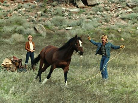 Le_cavalier_électrique_Sydney_Pollack