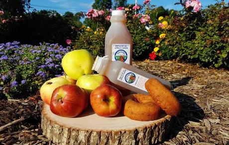 Les week-ends du festival d’automne à Alstede Farms apportent des pommes, des citrouilles, du cidre et des beignets au cidre.