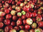Craft beer Festivals d'automne Jersey 2019: votre guide pour l'alimentation, musique, bière citrouilles Bière