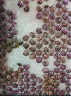 36Esther Chin détails Esther Chin (détail)