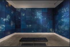 20 Andrea Chung You broke the ocean in half to be here Andrea Chung You broke the ocean in half to be here