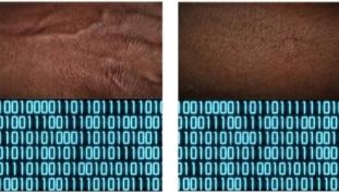 29 Petrona Morrisson Mapping série 2017 Petrona Morrisson Mapping série 2017