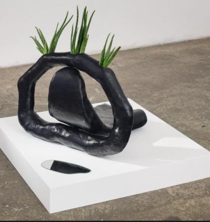 32 Carole Anzinger Carole Anzinger The eye