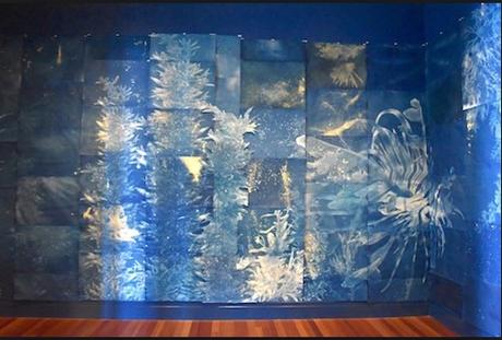 21 Andrea Chung You broke the ocean in half to be here Andrea Chung You broke the ocean in half to be here