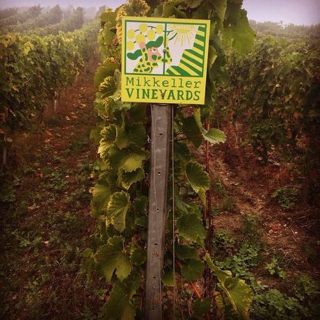 Vignoble Mikkeller