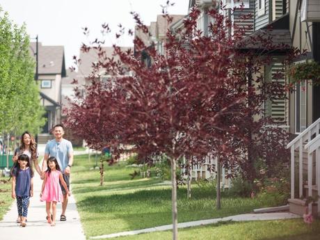 Info bière – Edgemont présente un nouveau défilé de spectacles à domicile
– Bière blonde https://edmontonjournal.com/