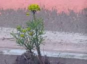 autre monde mais dans celui-ci