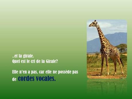 Divers - L'homme parle …mais les bêtes !!!!