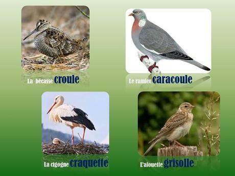 Divers - L'homme parle …mais les bêtes !!!!