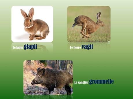 Divers - L'homme parle …mais les bêtes !!!!