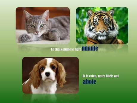 Divers - L'homme parle …mais les bêtes !!!!