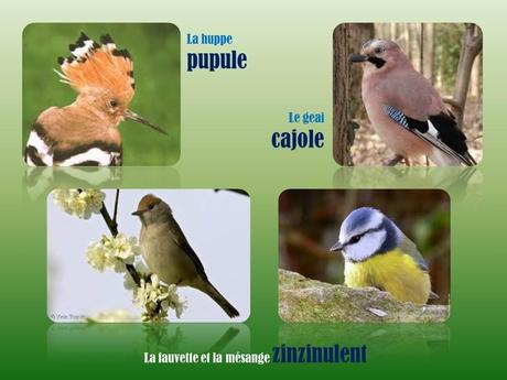 Divers - L'homme parle …mais les bêtes !!!!