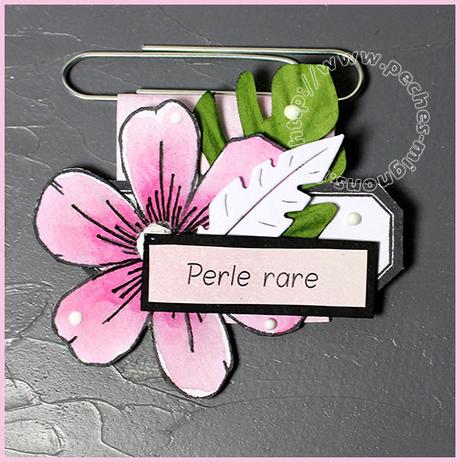 Carte Scrap #1344 Carte Scrap #1344