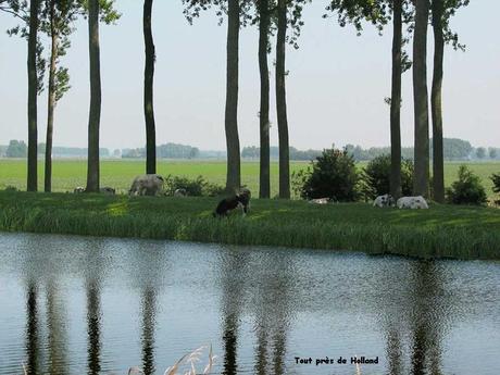 Pays Etranger - La Belgique - 4