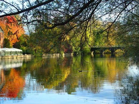 Pays Etranger - La Belgique - 4