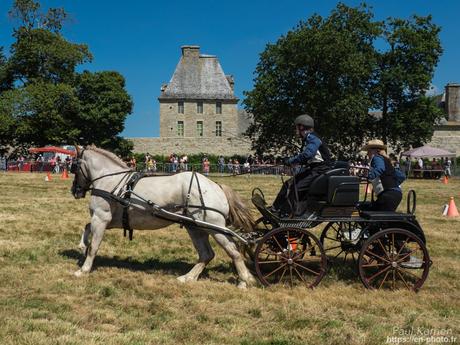 mise à jour de ma page châteaux, forts, manoirs et corps de garde #Finistère #Bretagne #MadeInBzh