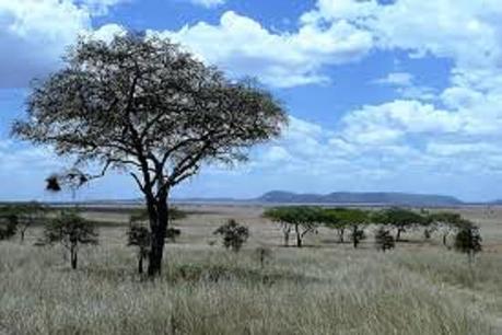 Destination la Tanzanie