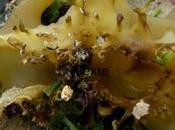 déambulant toile [11]