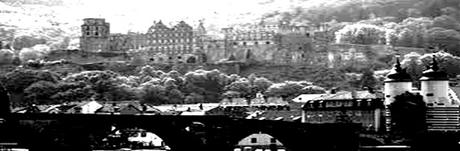 Voyage en Allemagne – Heidelberg, L' Hortus Palatinus