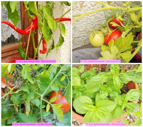 Poêlée de Poivrons et tomates farcies surprises (Vegan) Poêlée de Poivrons et tomates farcies surprises (Vegan)