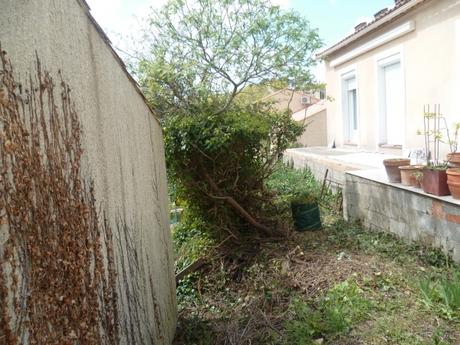 QUELQUES TRAVAUX Chez moi les 5 et 6 septembre, ainsi que le 20 septembre travaux,crépi,maçonnerie,jardin,murs,ouvrier,maison,propriété