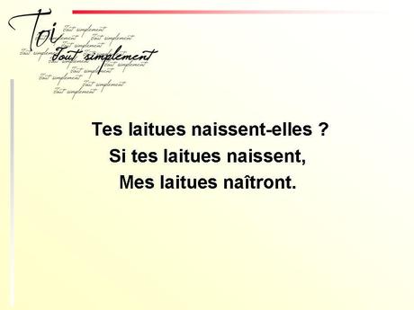 Divers - Phrases imprononçables - 2